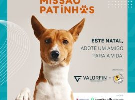 MISSÃO PATINHAS - Adote um Amigo para a Vida! | Valorfin